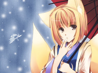 Blonde fox umbrella night snow - an umbrella in front free wallpaper