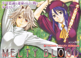 Meltyblood animegirls field bush izayoi - ada gladys killins free wallpaper