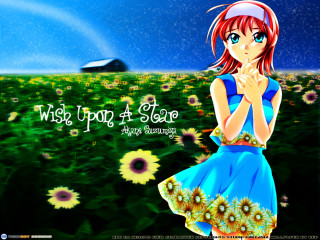 Girl blue dress sunflower field - a field of sunflowers free wallpaper