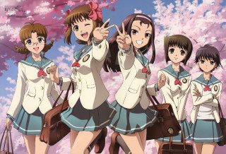 Girls schooluniform cherryblossoms anime braids - a group of girls free wallpaper
