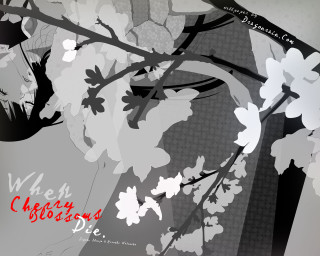 Black white woman flowers face - photo of a woman free wallpaper