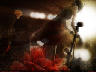 Woman red dress red flower - a red flower free wallpaper