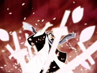 Baioken eishun sword cherryblossoms japan - white letter free wallpaper