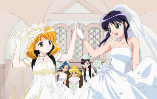 Bride maid wedding veil dress - a group of people free wallpaper