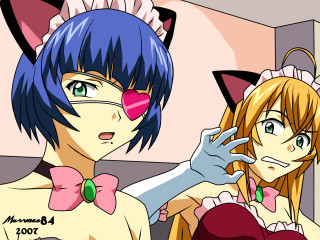 Anime cat characters kikukawa otoko - a picture together free wallpaper