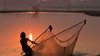 Man lake net birds fishing - free bird wallpaper