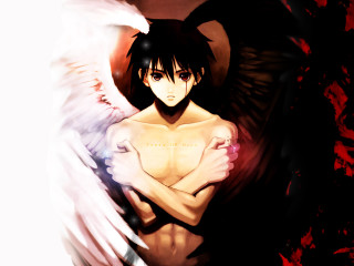 Angel wings blood anime gothic - angel free wallpaper