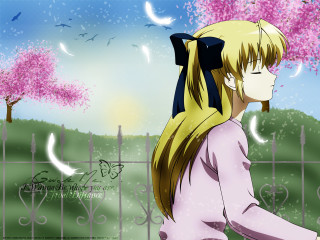 Girl ponytail bow cherryblossoms anime - sots art free wallpaper