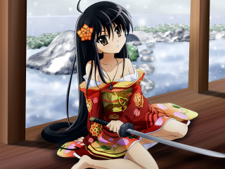 Woman red dress sword snowy 3 - snow free wallpaper for desktop