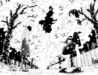 Black white person park cherry - a park free wallpaper
