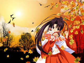 Woman red dress fan autumn - a sunset in the background free wallpaper