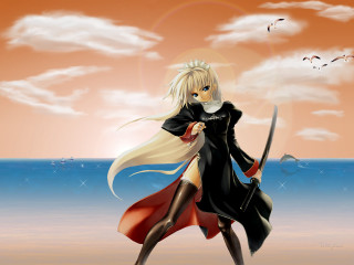Gothic anime woman sword beach - a sunset in the background and birds free wallpaper