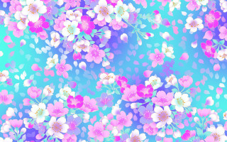 Blue background pink white flowers - color scheme free wallpaper