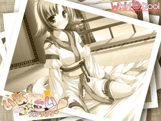 Girl sitting crossed legs animal - her leg free wallpaper for desktop