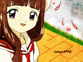 Girl longhair redwhite shirt field - shirt free wallpaper