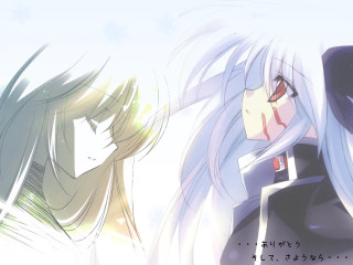 Longwhitehairedgirls blueeyes smiling fate testarossa - their face free wallpaper