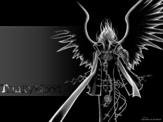 Angel bloodborne gothic wings solo - bloodborne free wallpaper