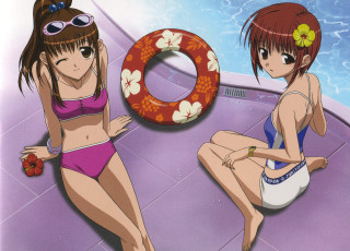 Anime girls pool bikini flower - the ground next free wallpaper