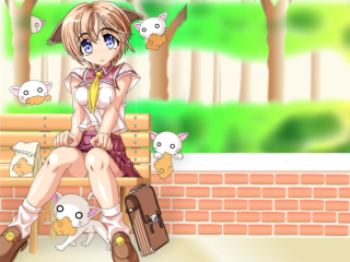 Anime cat bench suitcase animals - a bench free wallpaper