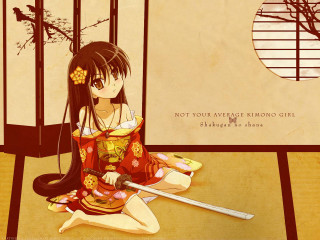 Woman sitting kimono sword blush - the wall behind her free wallpaper