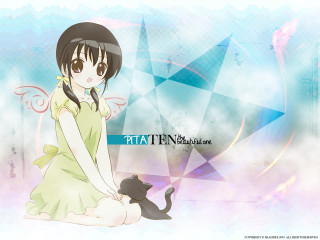 Girl green dress cat blue - her lap free wallpaper