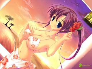 Woman bikini flower alcohol palm - a woman in a bikini holding free wallpaper