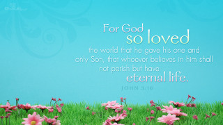 Field of flowers bible verse - god free wallpaper