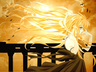 Gothic anime woman bridge birds - overhead free wallpaper
