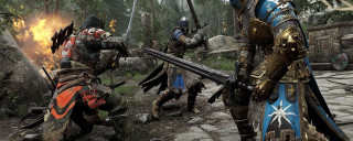 Knights armor spears shields forest - a forest setting free wallpaper