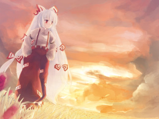 Woman horse flower field sunset 2 - a horse in a field free wallpaper
