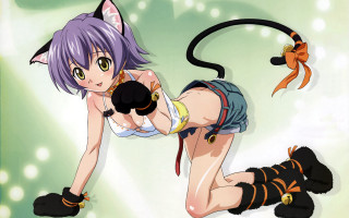 Woman cat gun furry anime - furry art free wallpaper