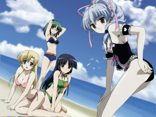 Beach women bathing suits ocean - suit free wallpaper
