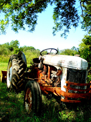 Old tractor field grass blue - digital photography free wallpaper