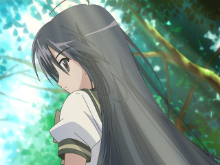 Girl tree leaves sky portrait - a character portrait free wallpaper