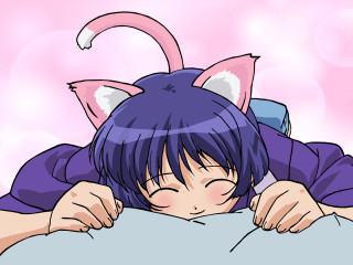 Kawaii anime blush bluehair catears - a cat ear free wallpaper