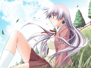 Woman sitting tree long hair - her knee free wallpaper
