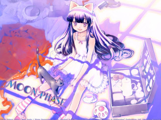 Girl cat anime lap dress - her lap and a cat free wallpaper