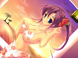 Woman bikini flower alcohol beach - a woman in a bikini holding free wallpaper
