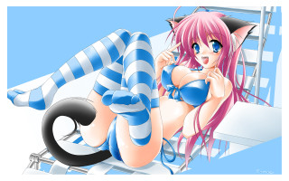 Alice bluette cat lay furry - cat free wallpaper