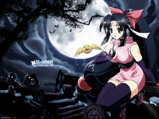 Pink kimono woman fullmoon bats - full free wallpaper