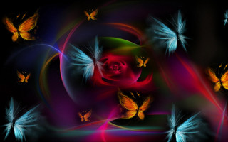 Colorful butterflies rose mystical wings - mystical free wallpaper