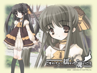 Girl long hair dress bow 2 - a bow free wallpaper