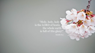 Branch white flowers bible verse - whole free wallpaper