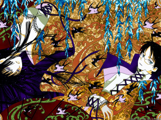 Woman bird gothic illustration colorful - chiho aoshima free wallpaper