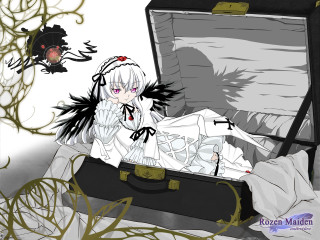 Creepy suitcase woman gothic flowers - fullbody free wallpaper