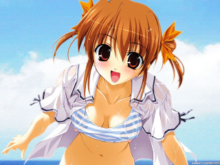 Cartoon girl beach open shirt - her shirt open free wallpaper