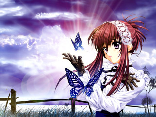 Girl butterfly field sky anime - magic realism free wallpaper for desktop