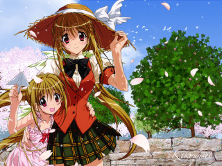 Anime girls park flower dress - the other holding free wallpaper