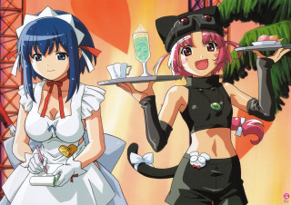 Anime maids tray cat ears - a tray free wallpaper