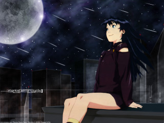 City skyline fullmoon starry night - a city skyline free wallpaper